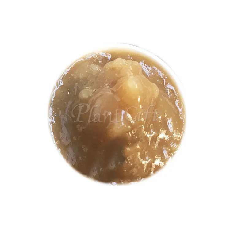 Завод подарок персик резинки и коллаж смываемая маска оживленный фирма против