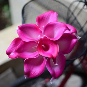 fuchsia Фуксия Калла лилии настоящие на ощупь цветы для свадебных букетов центральные искусственные цветы для свадьбы - Цвет: fuchsia