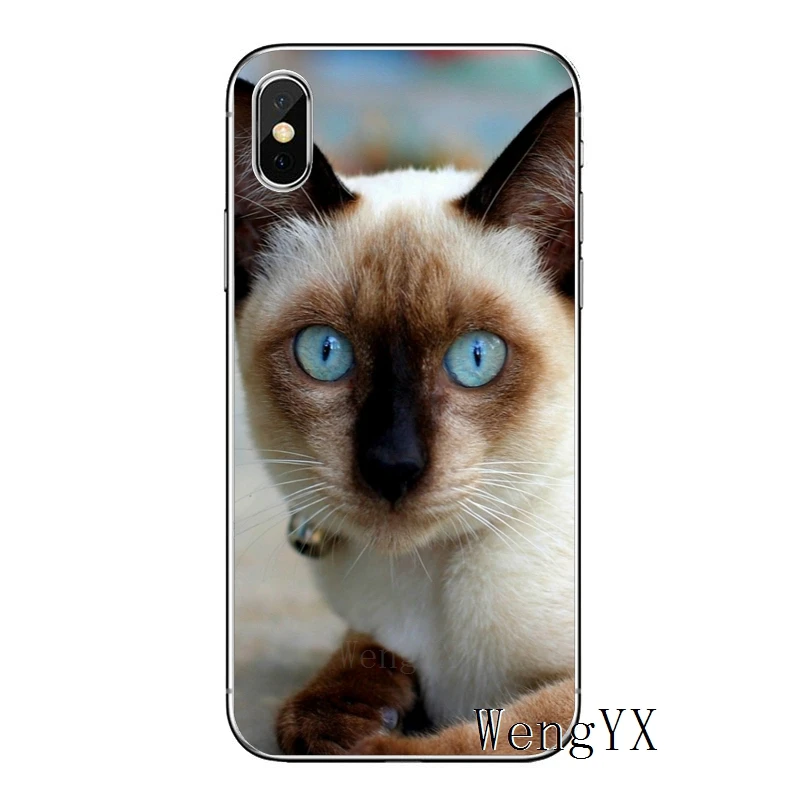 Pet сиамская кошка класса люкс для huawei Honor 10 9 8 Lite 8C 8X 7C 7X 7A 6C pro 6 X Play 6X 6A 5A LYO-L21 V8 V10 чехол Мягкие Чехлы