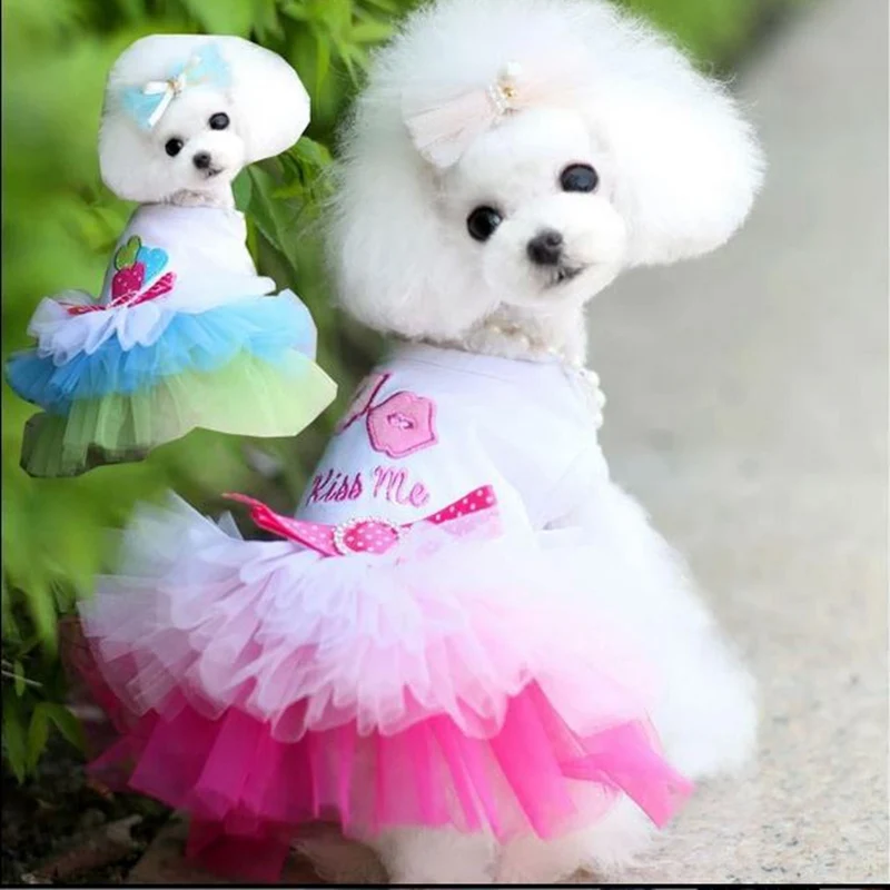Недорогие юбки одежда для собак Chiwawa женские платья Petstyle Fafa пачка щенков