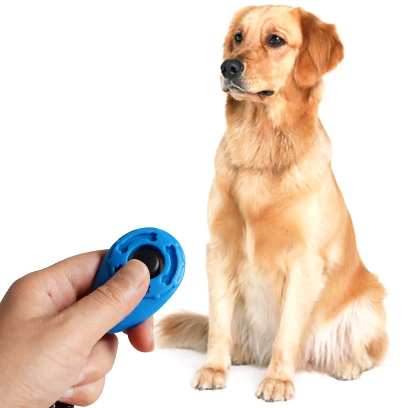 Новая Собака Clicker Cat Training Trainer с кольцом для ключей и наручным ремешком лечения