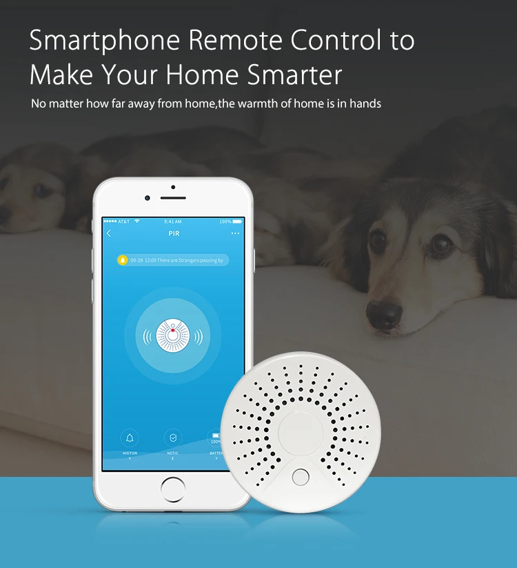 Wi-Fi дымовой детектор сенсор пожарной безопасности дома системы Smart дым Smart Life туя работает с Alexa Google дома IFTTT