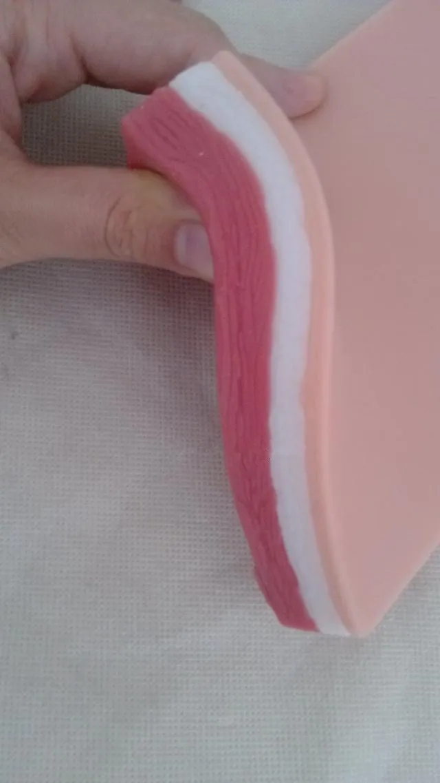 human skeleton anatomical skin suture stitching modeln anatomy Simulation Skin Wound Suture Practice Pad | Канцтовары для офиса и