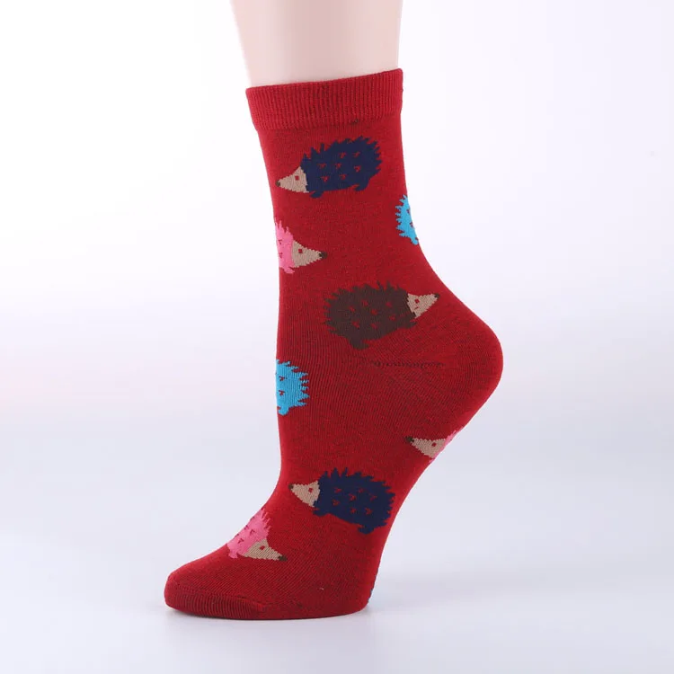 OLN новые модные Kawaii женские носки Hedgeh с животными Лот 5 пар Harajuku носки с героями мультфильмов для корейских рождественских подарков