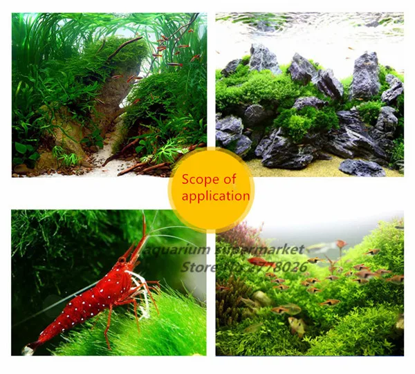 

HONGYI 50 pieces sera simple to use Ph Kh Gh No3 No2 five in one test stick for aquarium fish tank quick test paper
