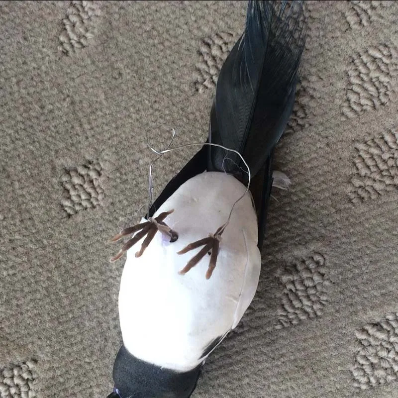 10 шт. 15*4 5*5 см маленькая черная Magpie искусственные пенные перышки декоративные