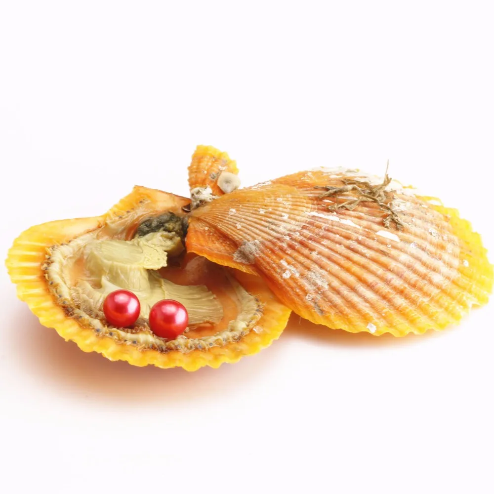 10 шт. 6 8 мм двойной круглый жемчуг Одинаковые цвета в фестоне akoya красные oysters