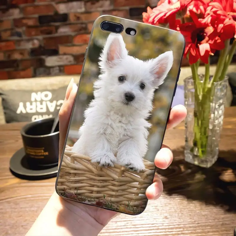 Мягкий ТПУ чехол для телефона MaiYaCa West Highland White Terrier dog с рисунком iPhone 8 7 6 6S Plus X 5S 12pro SE