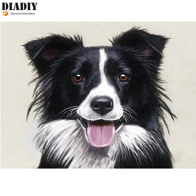 DIADIY border collie рисунок алмазная вышивка 5d diy живопись горный хрусталь 3D картина