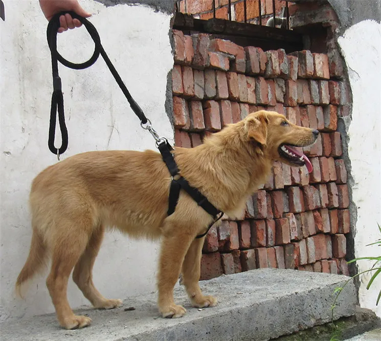 Маленькие и большие размеры Большой пес питомец кошка Жгут жилет поводок собачий