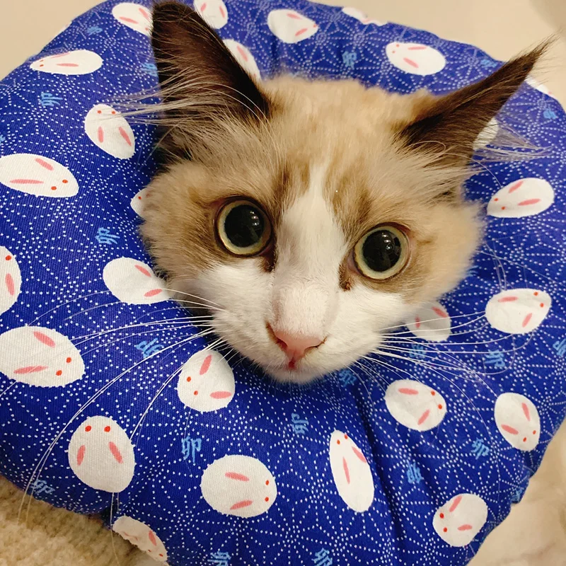 Мягкий круг-воротник для кошек, кошачий гриминг, товары для ухода за котом Kedi Malzemeleri Katten Gatos, товары для кошек