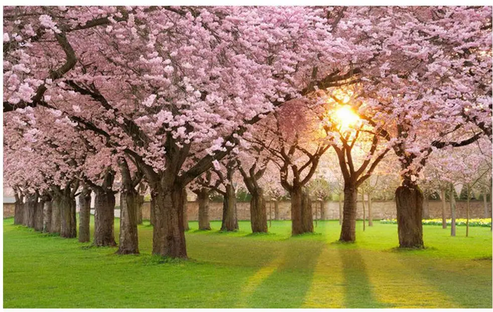 3d обои для комнаты вишневый цвет деревянная декоративная картина фон настенная