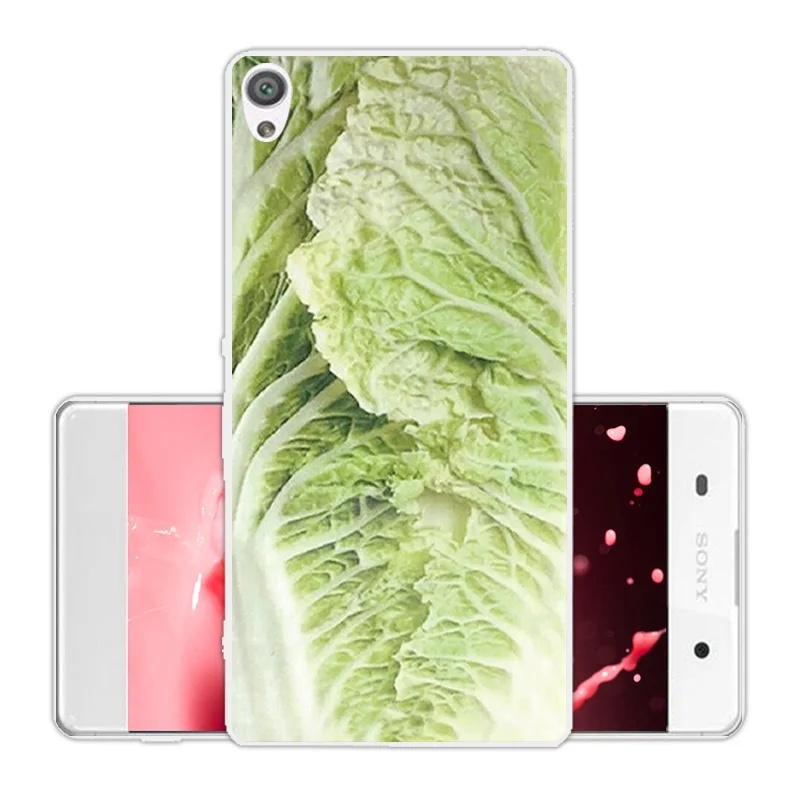 For Sony Xperia XA F3111 F3113 Silicone Transparent TPU Back Cover 5.0 inch DIY Scenic Eagle Phone Case Shell |