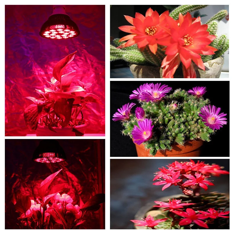 Spider COB 36 Вт все темно красный 660nm светодио дный растет свет лампы PAR38 растут