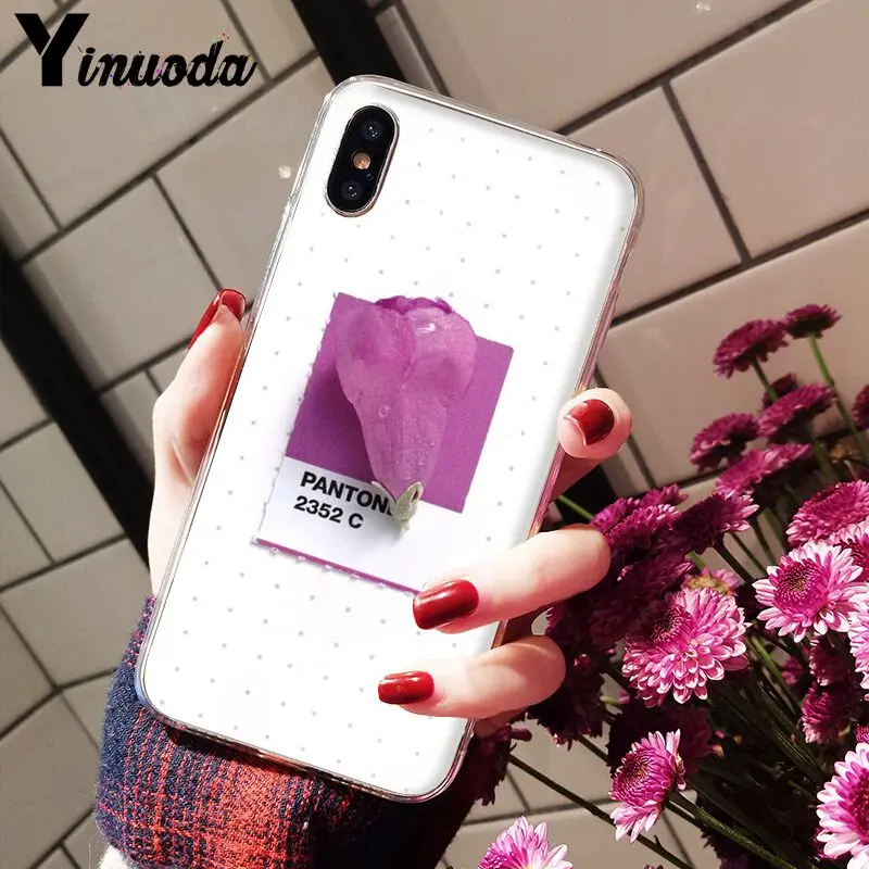 11pro MAX Pantone яркие цвета цветок Новое поступление Прозрачный чехол для мобильного