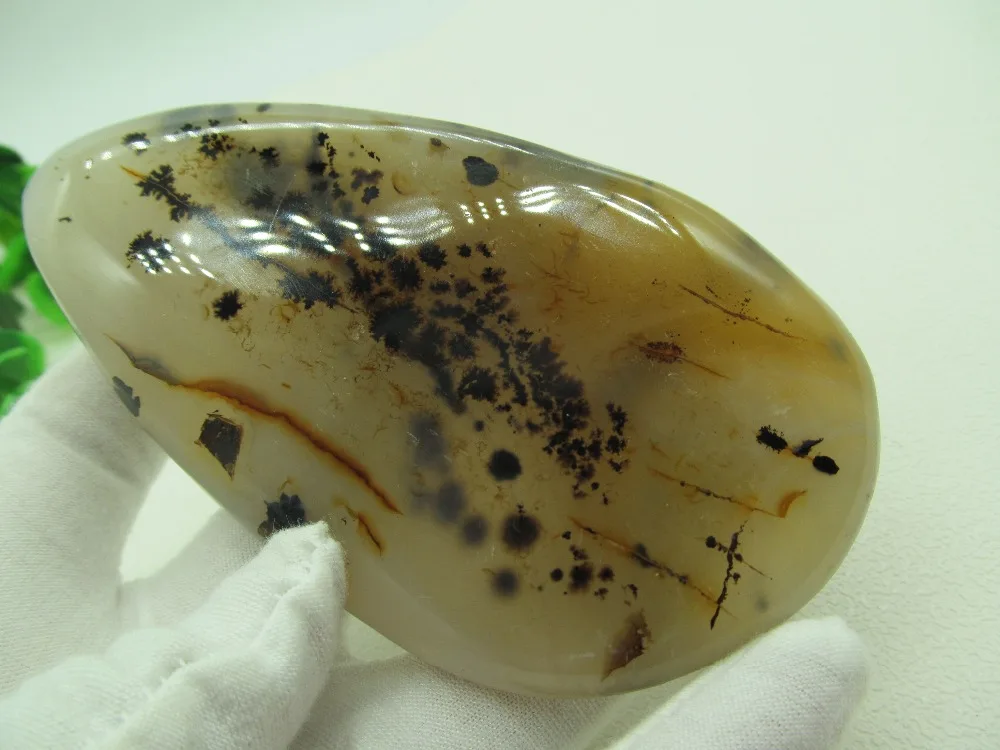 

Rare Beautiful Unique Natural Aquatic agate Mineral Agate Stones Fengshui Reiki Healing Energy Specimen Collection