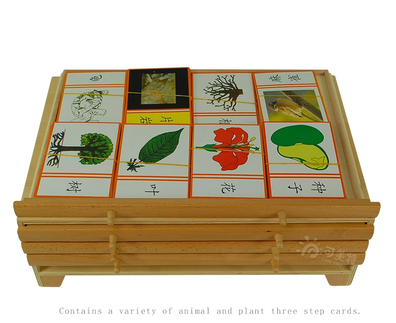 Botany лист шкаф паззлы деревянная коробка Монтессори биологические Обучающие игрушки Образование для детей дошкольного возраста материалы