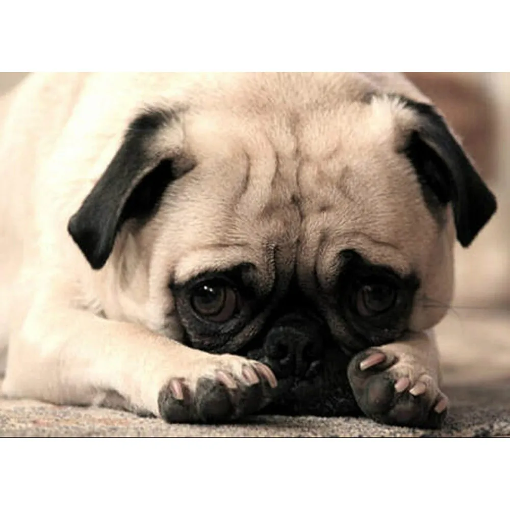 Алмазная 3D картина сделай сам 100% квадратные мозаичные наклейки декоративные