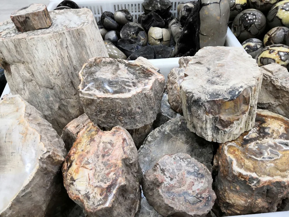

1000g NATURE WOOD FOSSILS CRYSTAL cut into slices