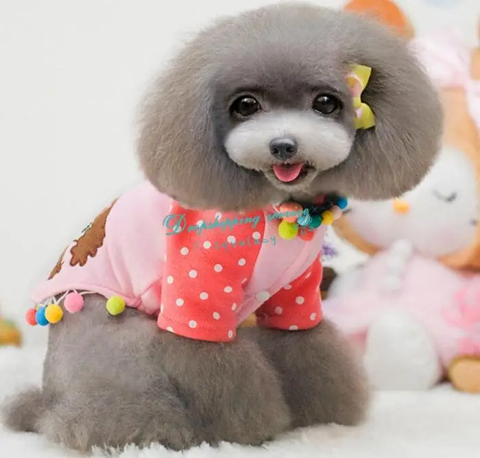 New Pet Dog Cat Clothes Curls Small Poodle Color Ball Sweater Teddy Polka Dot Coat Supplies Hoodie Free Shipping | Дом и сад