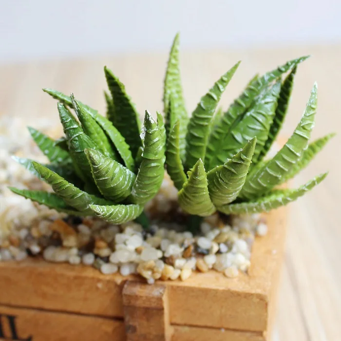 festival supplies Artificial succulent plant Flower mini aloe for Party home Decoration craft DIY favor baby shower etc Wh | Дом и сад