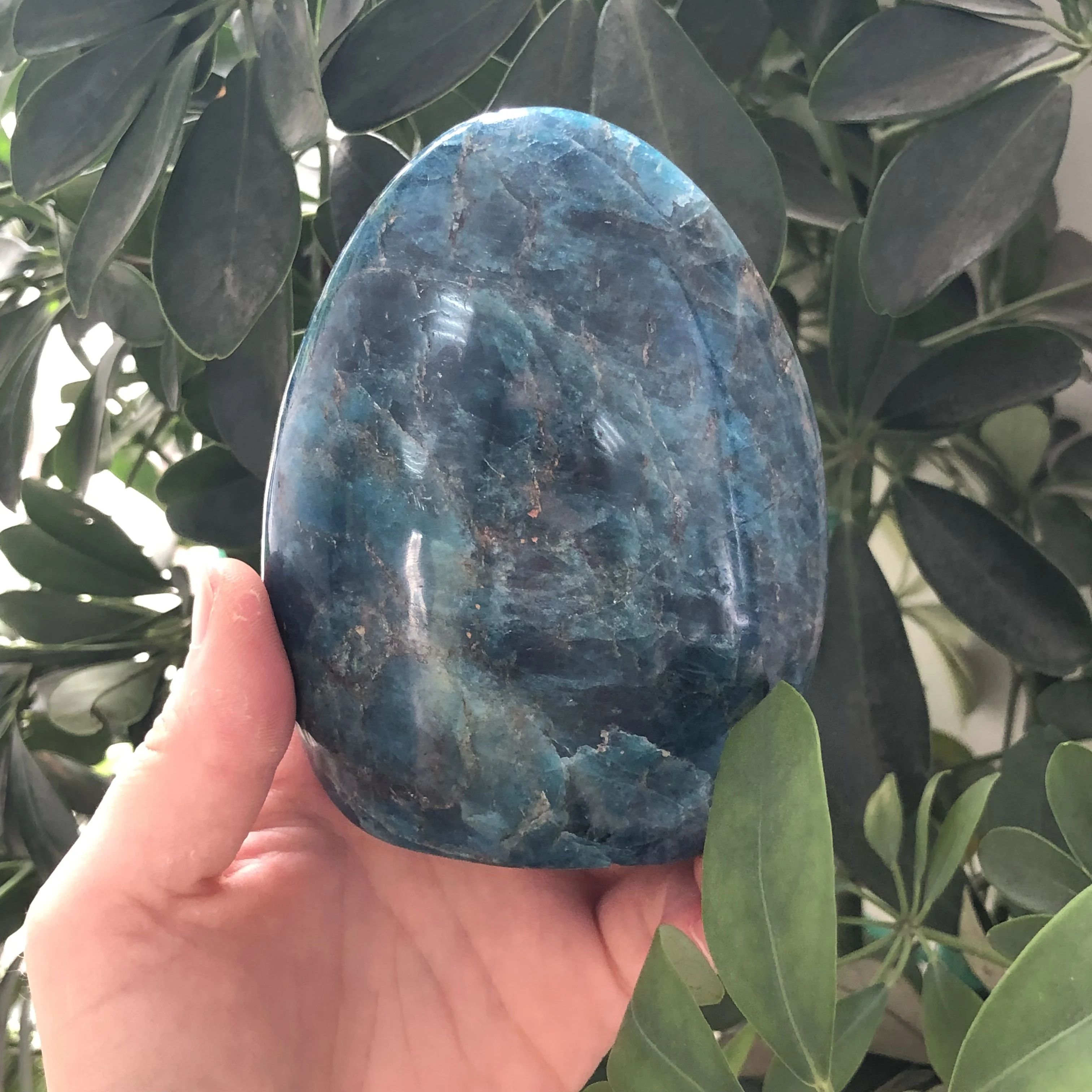 Natural Crystal Jumbo Size Apatite Ornament Irregular Points Wands Stone Divination Lucky For Decoration FYY | Дом и сад