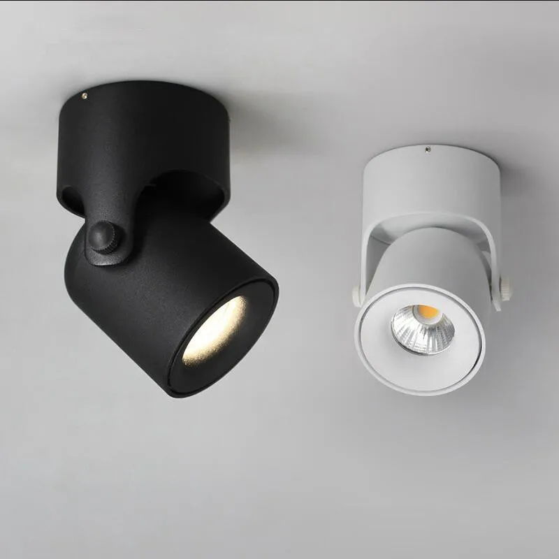 Светодиодный фонасветильник с регулируемой яркостью 180 градусов 10 Вт 12