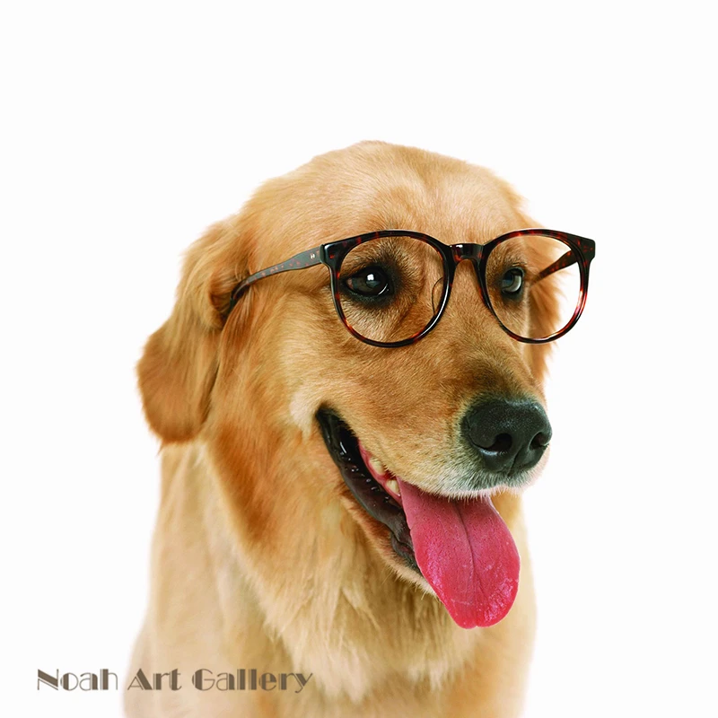 Настенный художественный Рисунок с животными американская порода собак