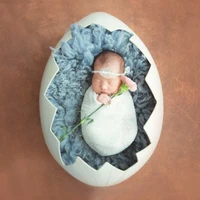 newborn photography egg shell cute baby egg nest baby photo propp0426
