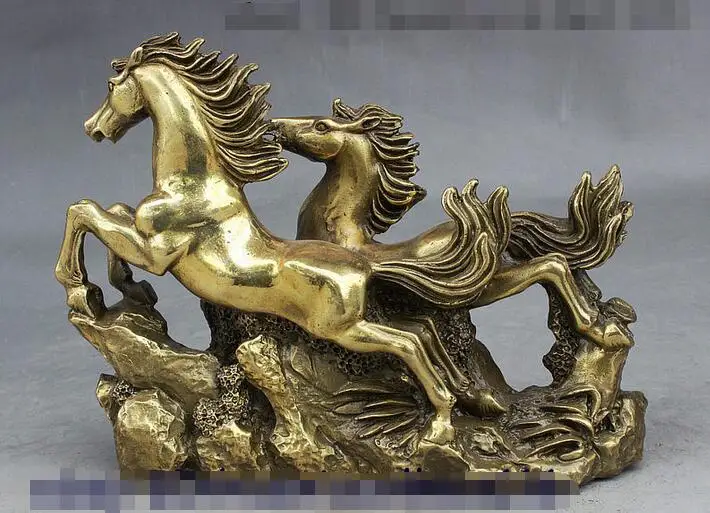 Народные Китайский Фэншуй Латунь Перспективе Успех Зодиака 2 Перейти Дикая