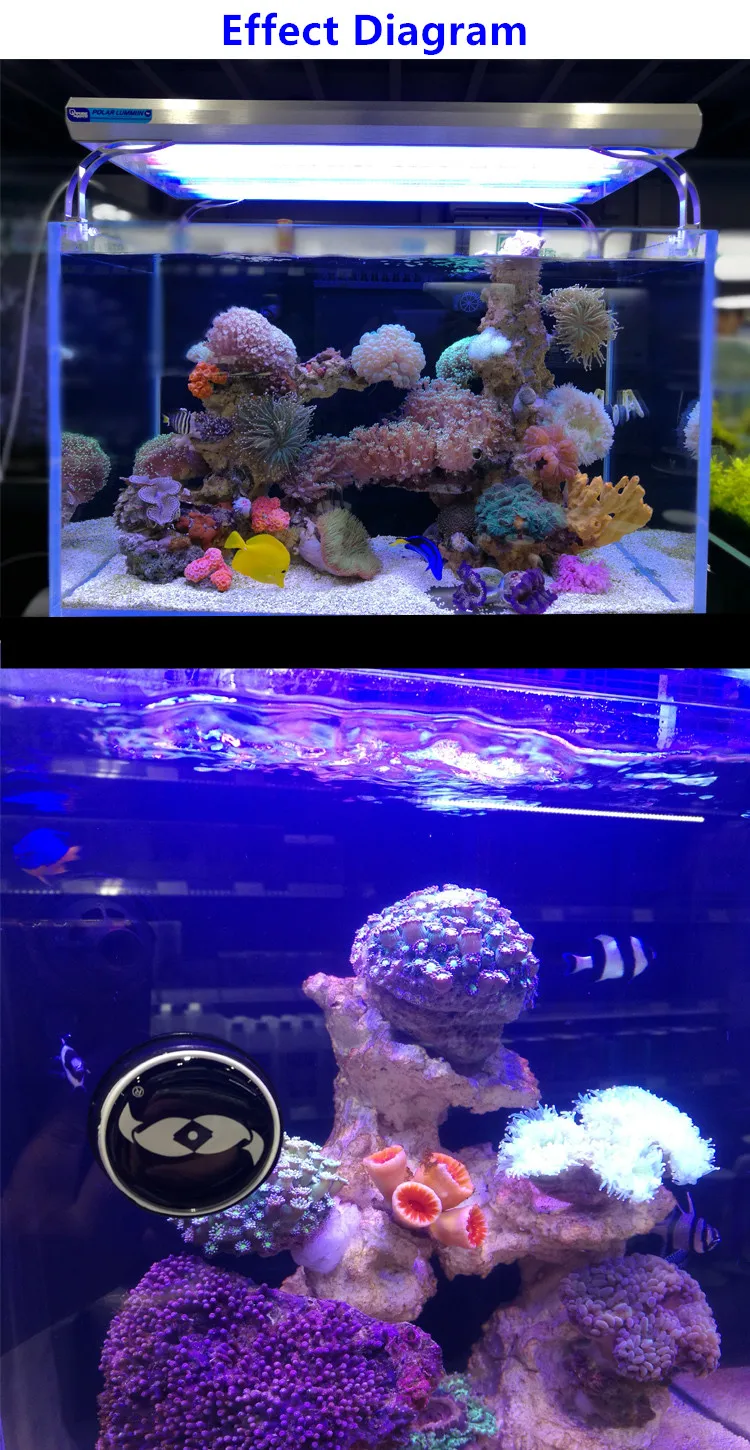 Новейшая морская вода, аквариум, каменный мертвый камень, микробный ландшафтный камень, свободный от взрывов водорослей