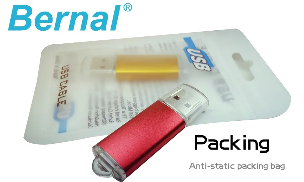 5 шт./лот,, Bernal USB флеш-накопитель 256 ГБ 128 ГБ 64 ГБ флеш-память, переносной usb-накопитель, высокоскоростной USB 2,0 флеш-накопитель