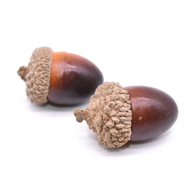20pcs 20 шт./лот 3 см мини Реалистичный искусственный желудь дубовый орех моделирование сосновые шишки поддельное украшение в виде фруктов рождественские украшения для дома безделушка - Цвет: 20pcs