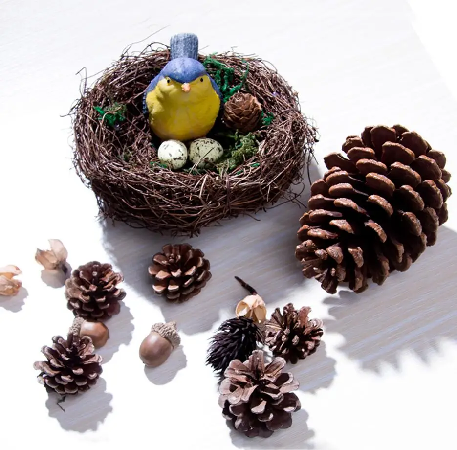 Один набор сушеных растений цветов фруктов птичье гнездо яйцо для свадьбы