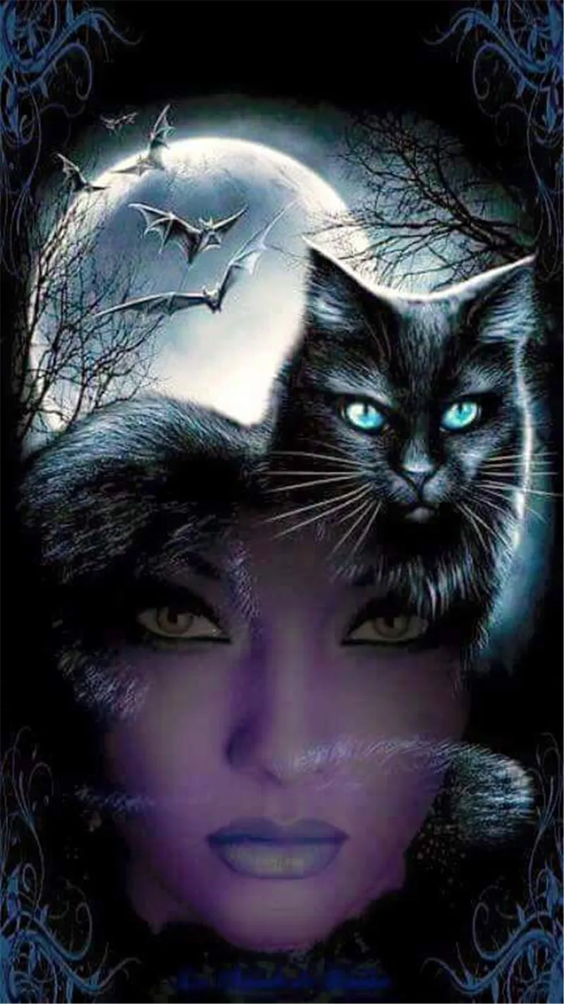 Набор для алмазной вышивки Кот и красота | Дом сад