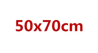 200 шт напечатанный на заказ фирменный логотип компании многоразовый прозрачный Opp мешок хозяйственные сумки пластиковые продуктовые рекламные пакеты для упаковки - Цвет: 50x70cm