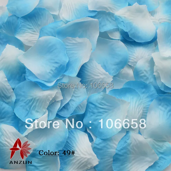 

1000 ., 5
