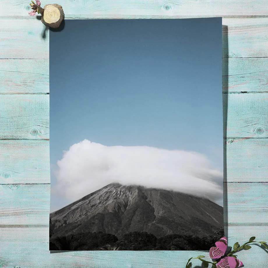 Пальмовое дерево кокосовое океан Кит лес настенная Картина на холсте