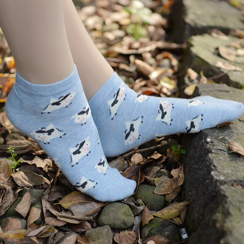 Носки женские летние с рисунком обезьяны арбуза хлопка|cotton socks for woman|socks womenfashion women