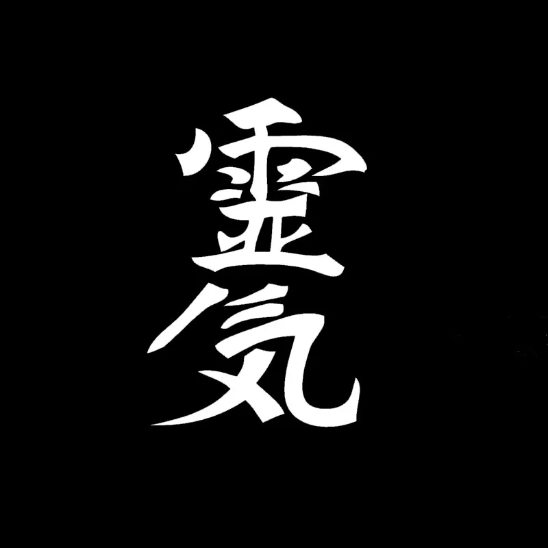 Автомобильные Чехлы &quotСимвол мудрости и Шрюда рейки китайские Кани забавная