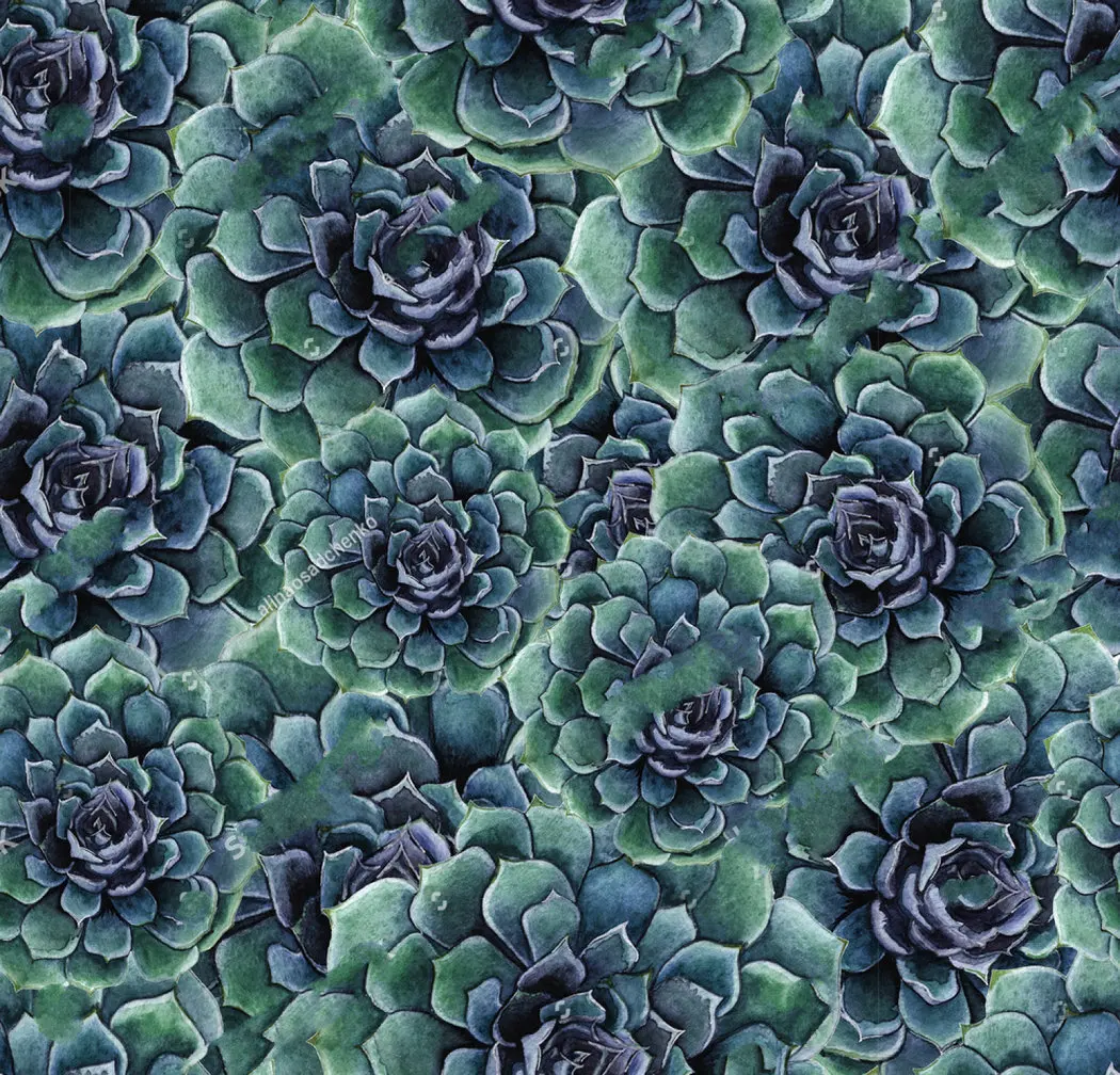 

Кактус для дня рождения акварель сочные цветы фотографии фонов виниловый тканевый фон для фотостудии высокого качества компьютерная печат...