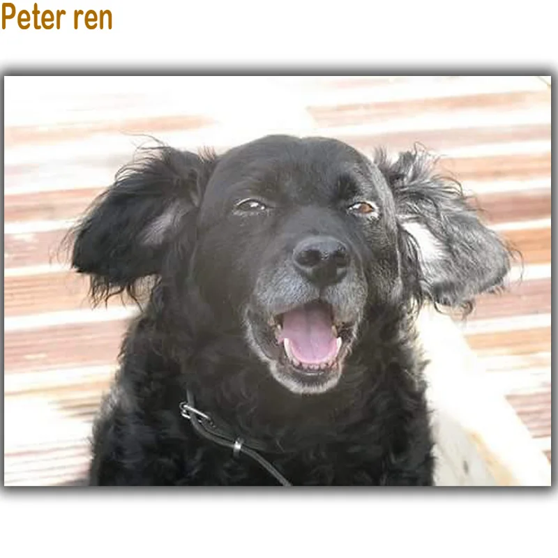 

Peter ren DIY Diamond Painting Cross stitch Round drill or Square diamond icon Mosaic full Diamond embroidery Summer black dog