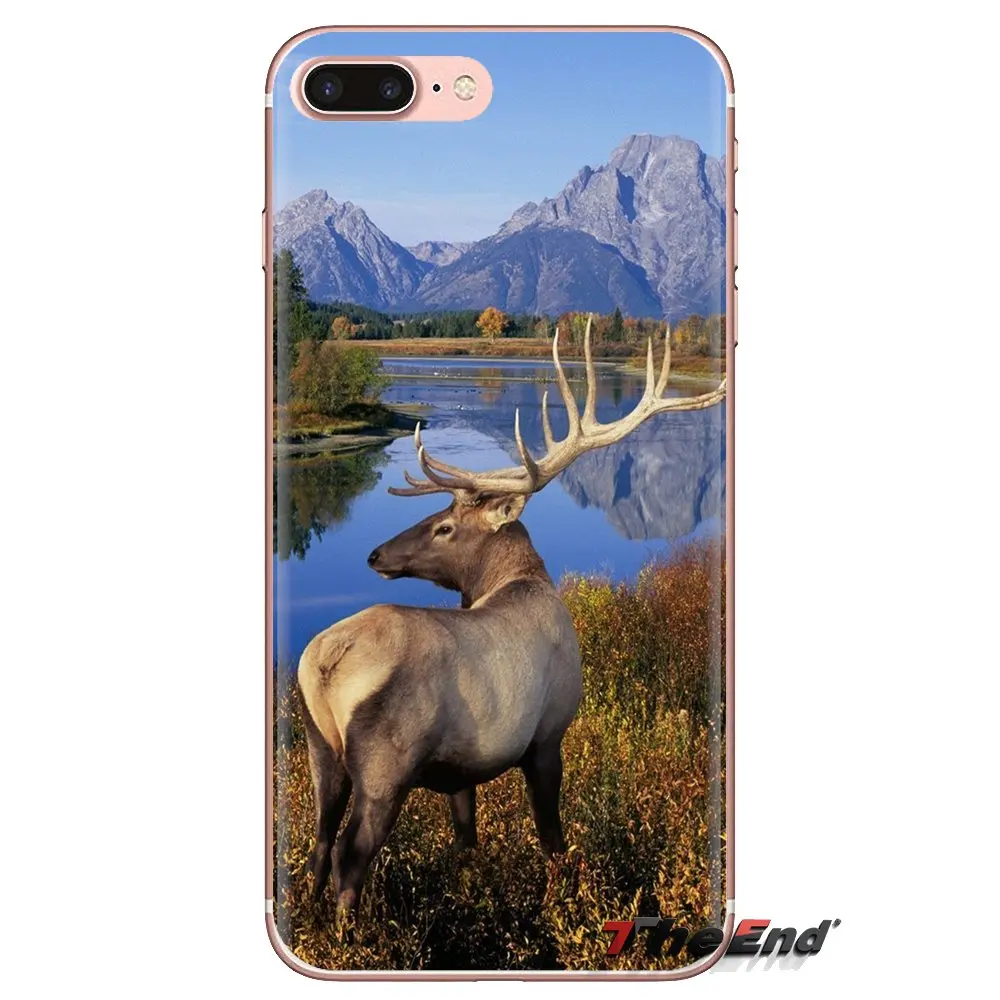 Silicone Phone Cover Bag For Samsung Galaxy J1 J2 J3 J4 J5 J6 J7 J8 Plus 2018 Prime 2015 2016 2017 Deer Pictures Backgrounds |