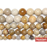 natural chrysanthemum stone coral fossils round loose beads 15 strand 4 6 8 10 12mm pick size