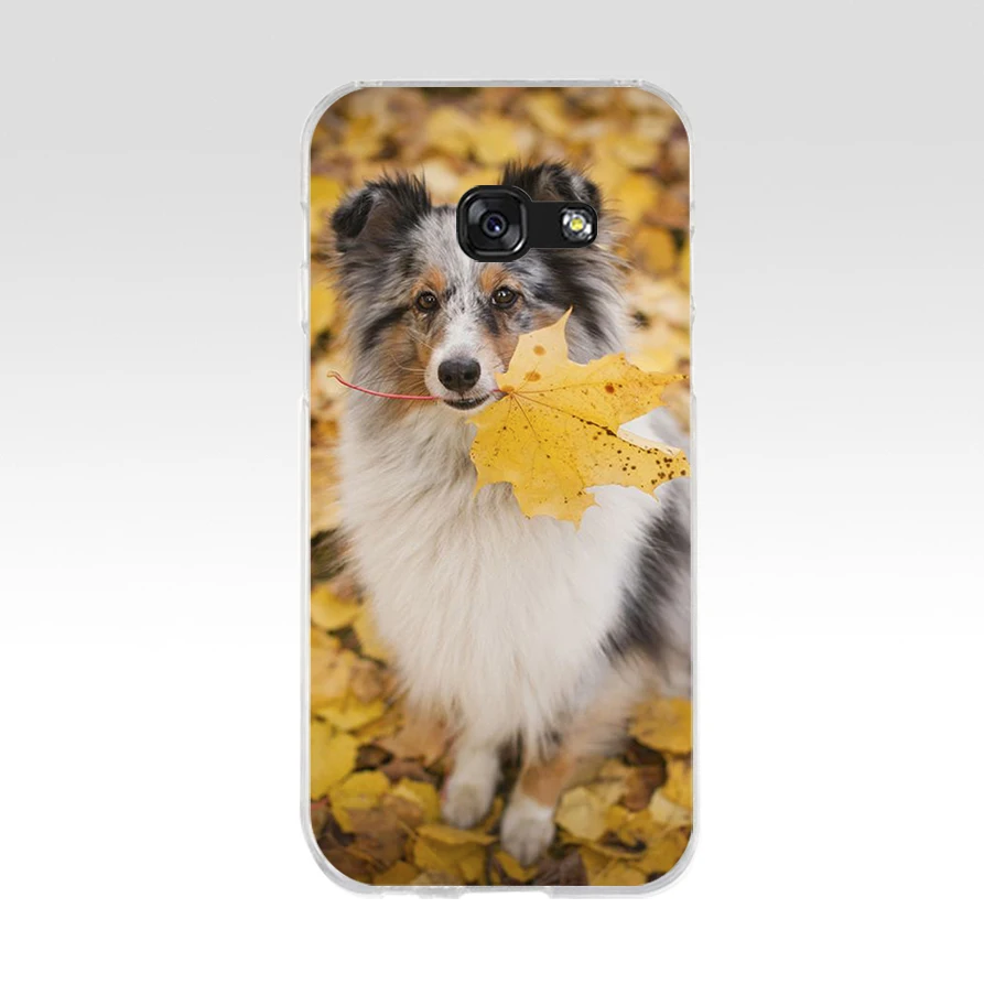 165AQ sheltie Мягкий Силиконовый ТПУ чехол для телефона Samsung galaxy a3 a5 2016 2017 a6 A8 2018|Бамперы|