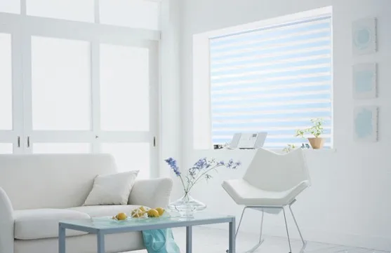 Популярные жалюзи Зебра/двухслойные жалюзи/Готовые занавески/занавески