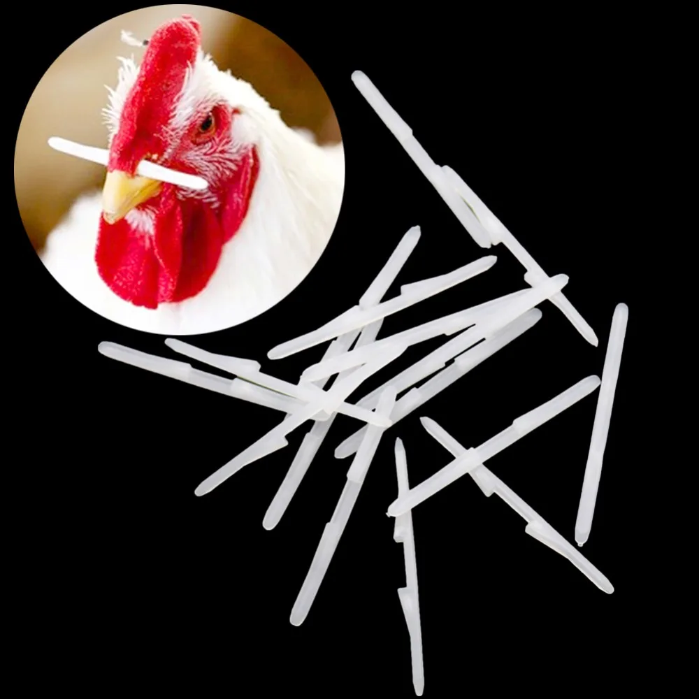 2000 шт. инструменты для курицы 6 9 см болт в носу очки с защитой от петуха питание