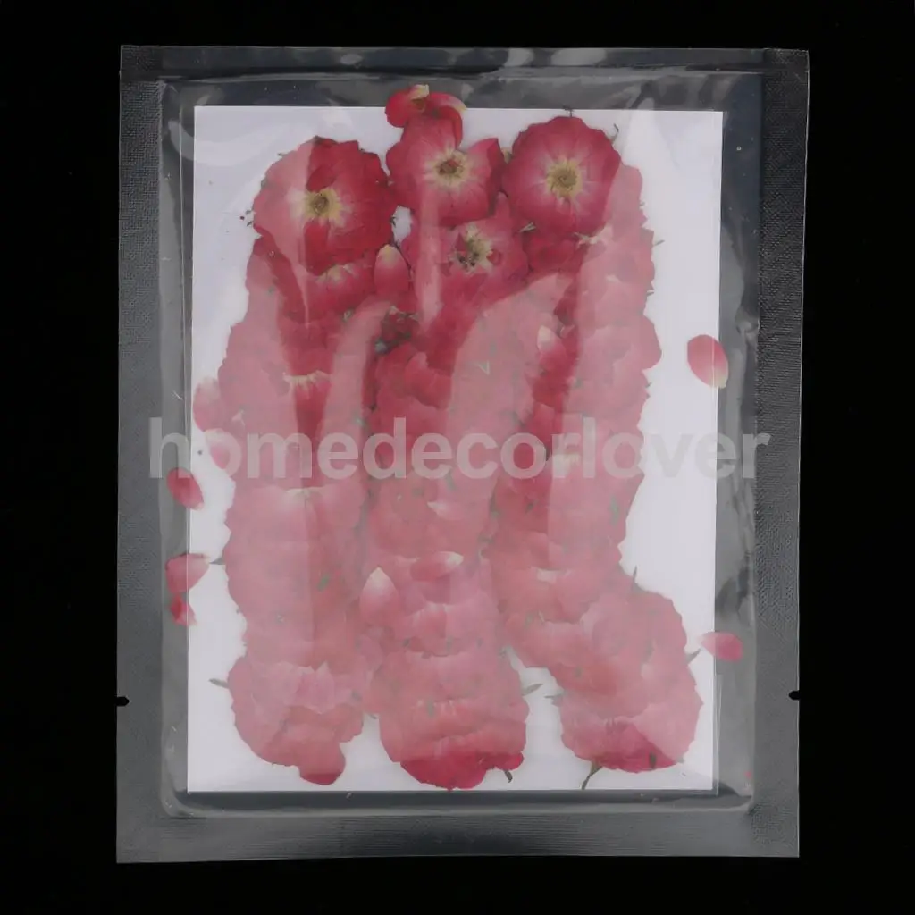 50 шт. красивые прессованные розы сухоцветы для художественного скрапбукинга|flowers