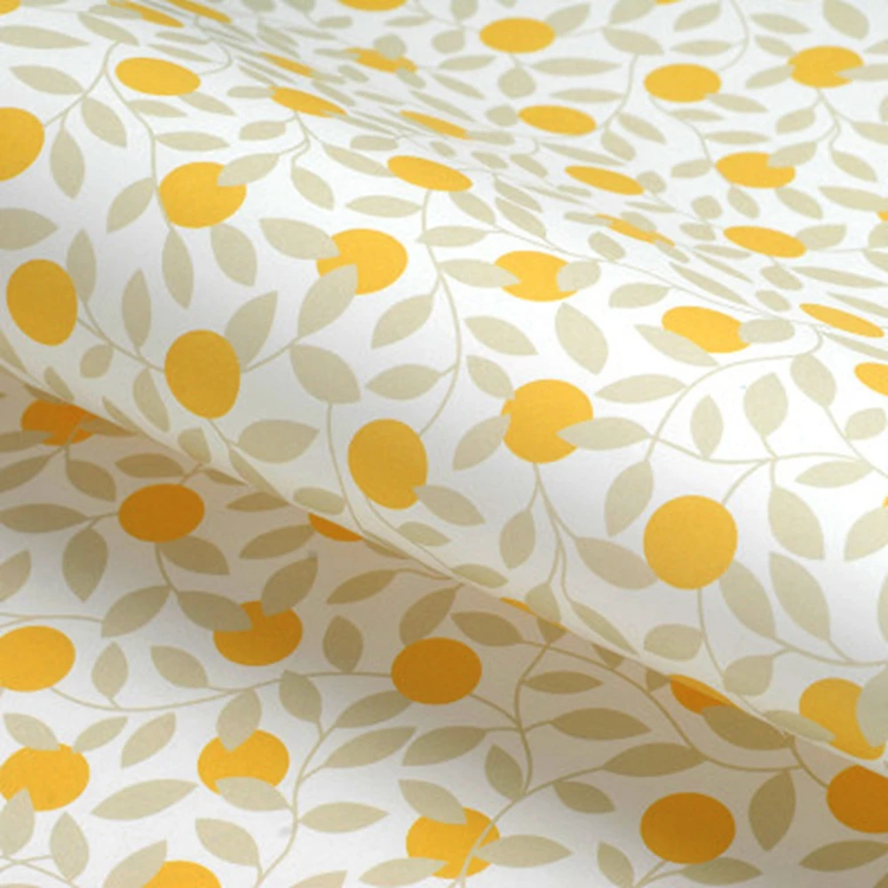 ENO поздравительная подарочная оберточная бумага свежие фрукты фоновые бумаги |