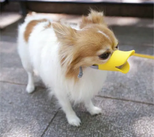 3108 # оптовая продажа товары для домашних животных собак силиконовая маска утка